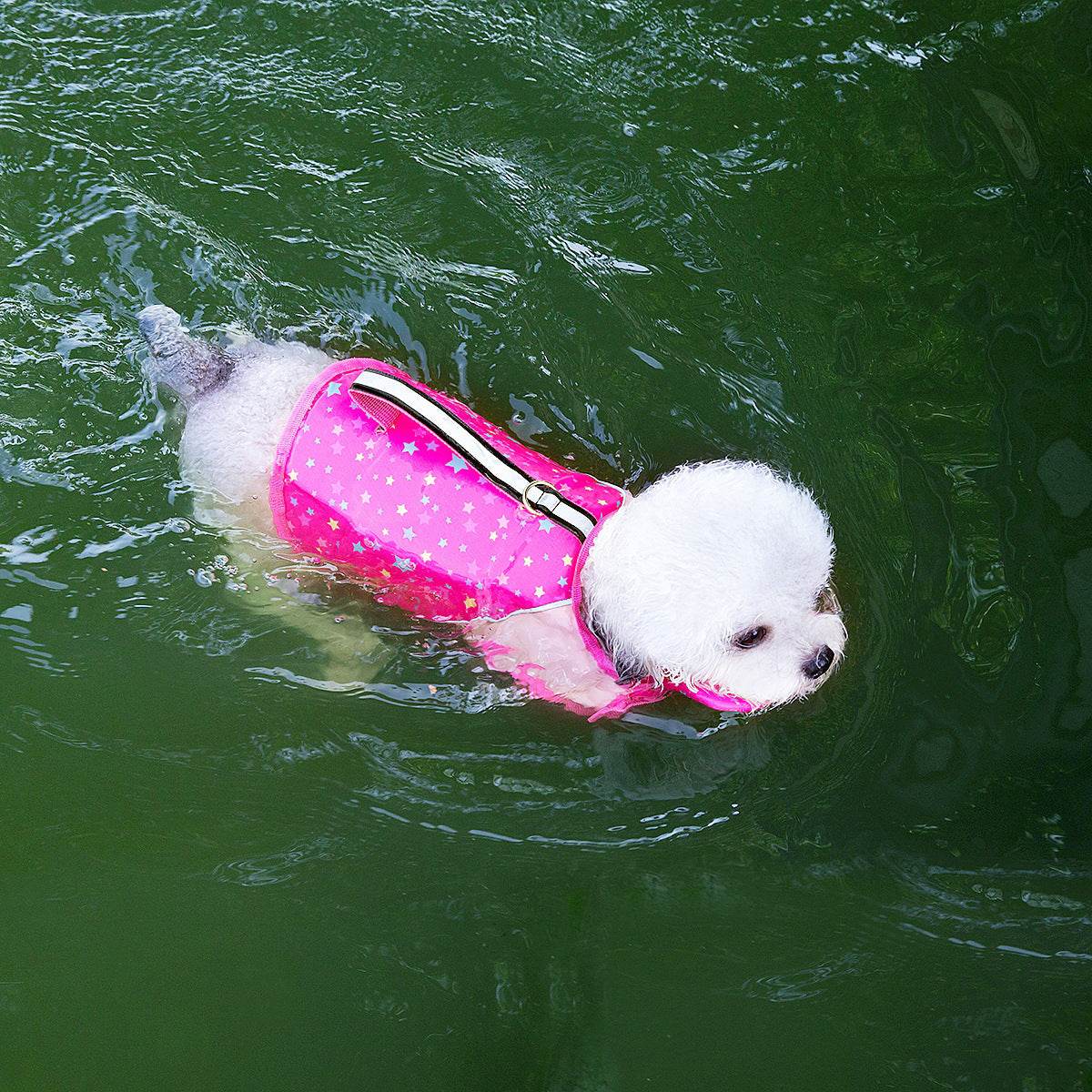 Pet dog with a leash and swimming life jacket