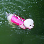 Pet dog with a leash and swimming life jacket