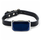 Waterproof GPS Locator for Pets with Real-Time Tracking
