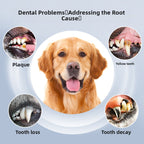 Ultrasonic Pet Dental Calculus Remover