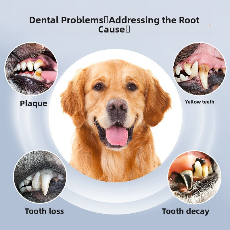Ultrasonic Pet Dental Calculus Remover