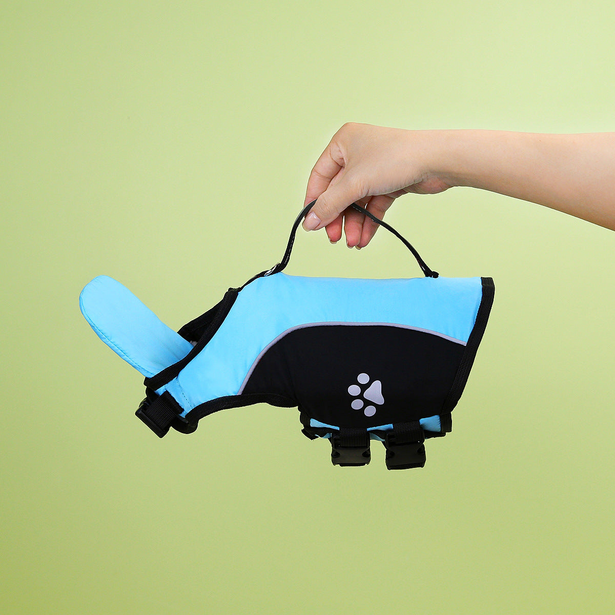 Pet dog with a leash and swimming life jacket