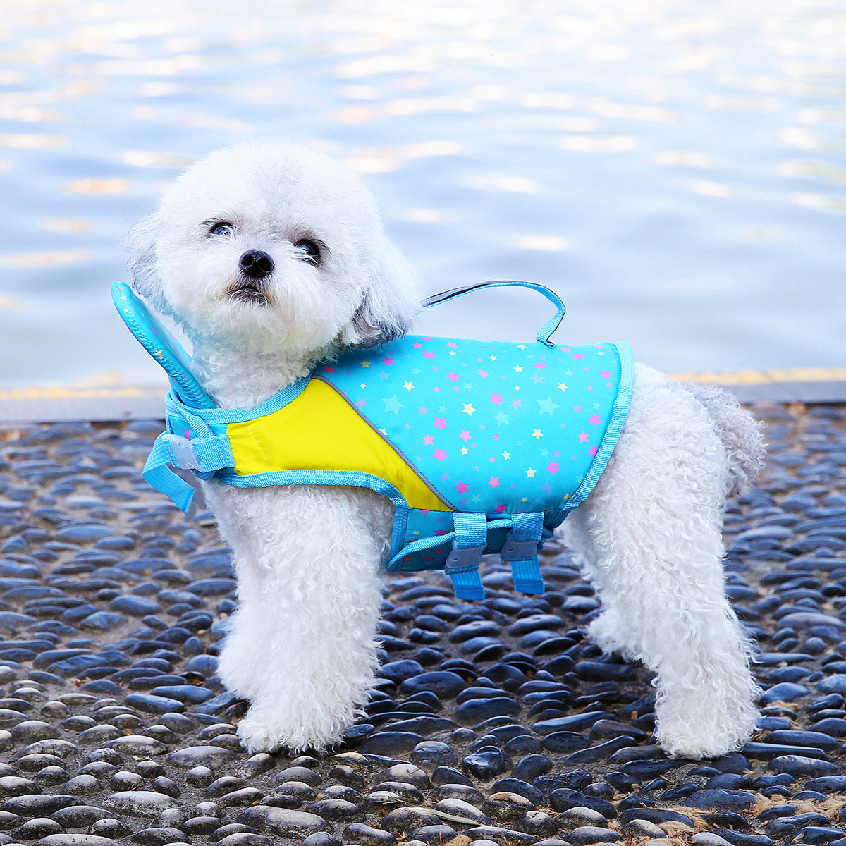 Pet dog with a leash and swimming life jacket