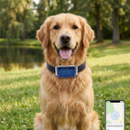 Waterproof GPS Locator for Pets with Real-Time Tracking