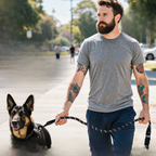 Reflective Nylon Dog Leash for Medium Large Pets