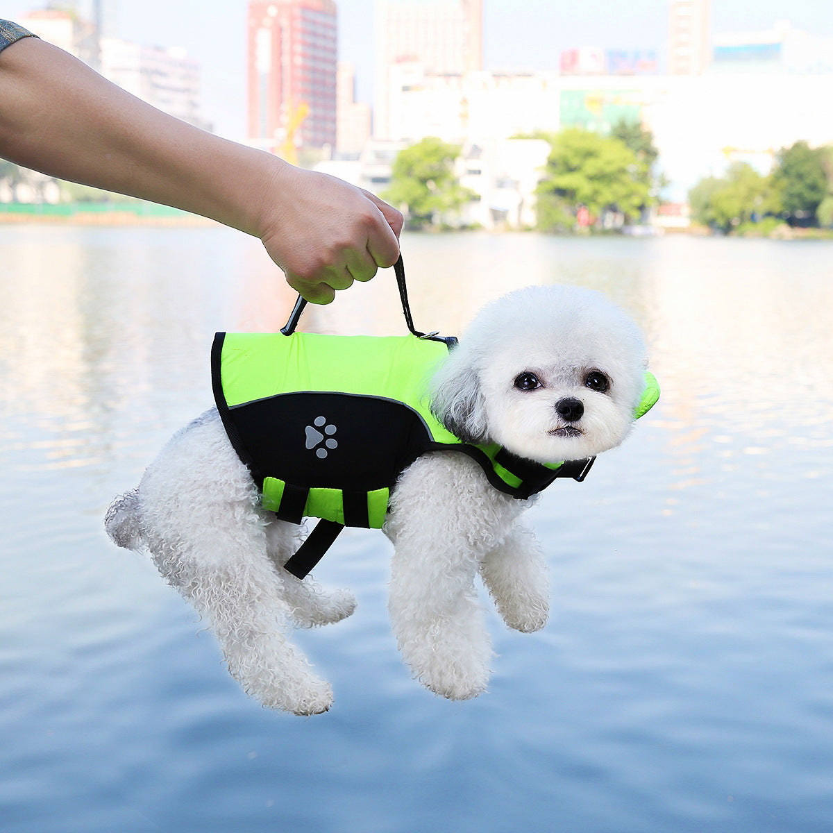 Pet dog with a leash and swimming life jacket