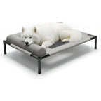 Medium to large dog beds and pet beds